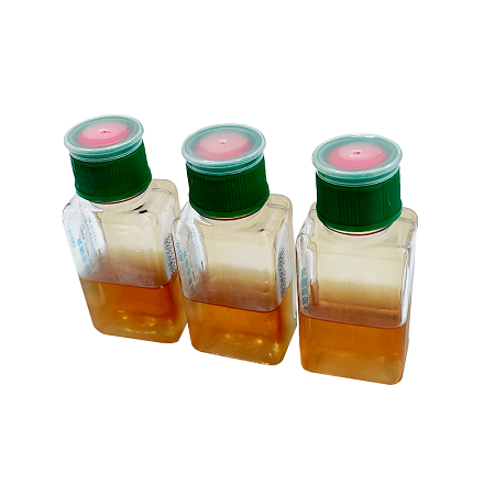 Botol Budaya Darah