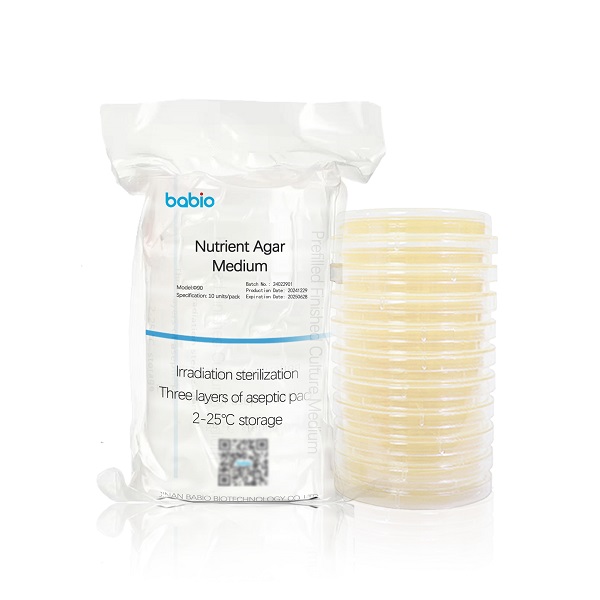 Medium Agar Nutrien